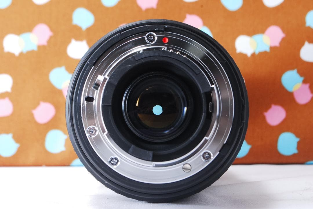 ✨美品✨望遠レンズ付き✨Nikon D200 レンズセット