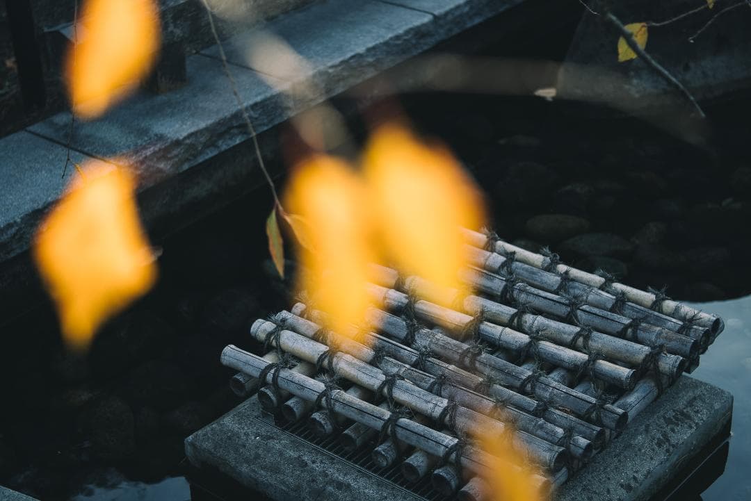 接写大幅UP！Leica Elmar 65mm F3.5 Viso 2nd