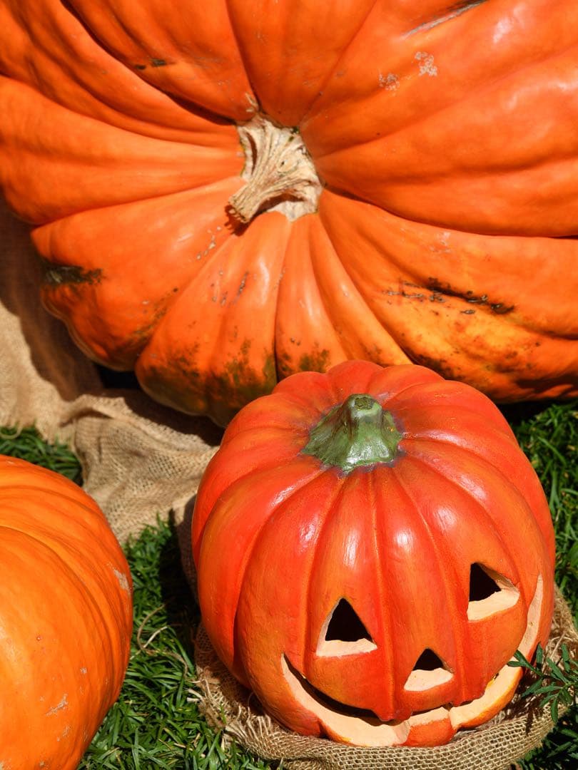 値下げAF-S NIKKOR 24-85mm f/3.5-4.5G ED VR