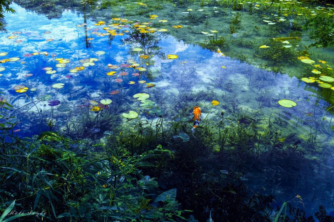 SIGMA DP1 Merrill バッテリー4個 レザージャケット付　最終価格