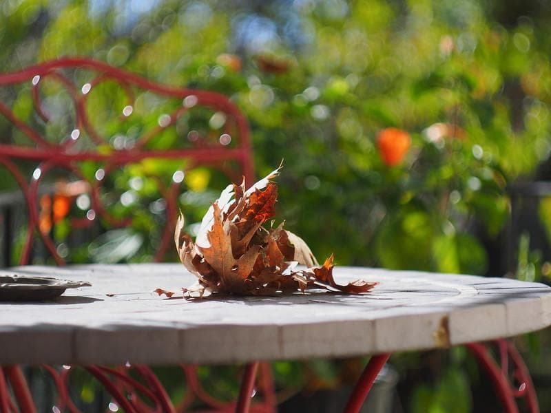 55 未使用　ぐるぐるボケレンズ　ヘリオス　44-2　M42アダプター付