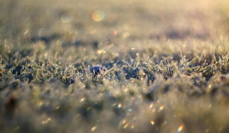 55 未使用　ぐるぐるボケレンズ　ヘリオス　44-2　M42アダプター付