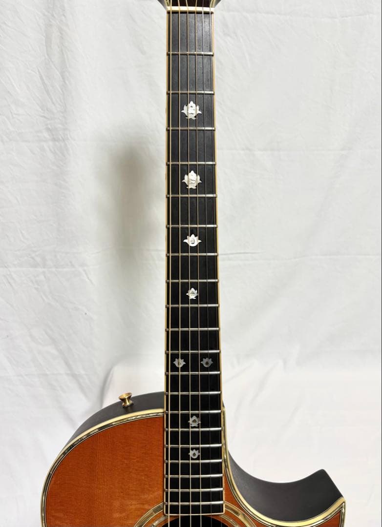 【新品弦張替済】Morris エレアコ TC-1 CUS