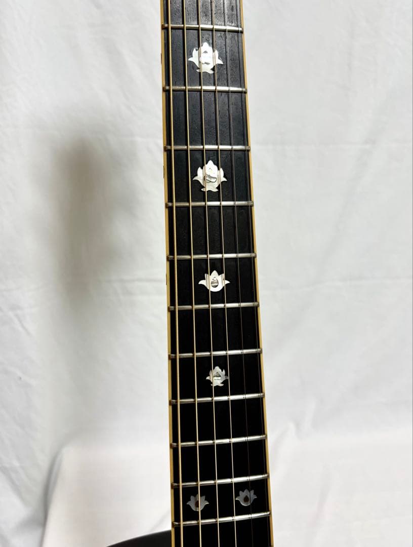 【新品弦張替済】Morris エレアコ TC-1 CUS