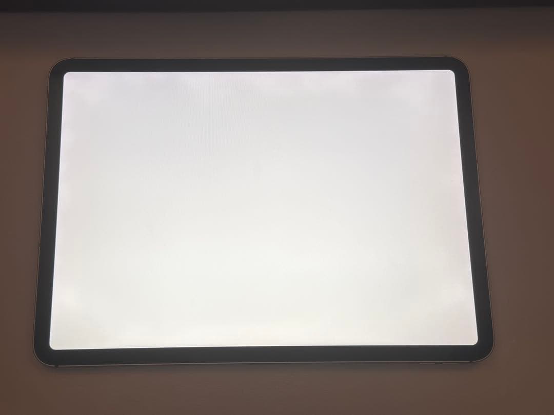 iPad Pro 11 64GB Cellular ＋Apple Pencil