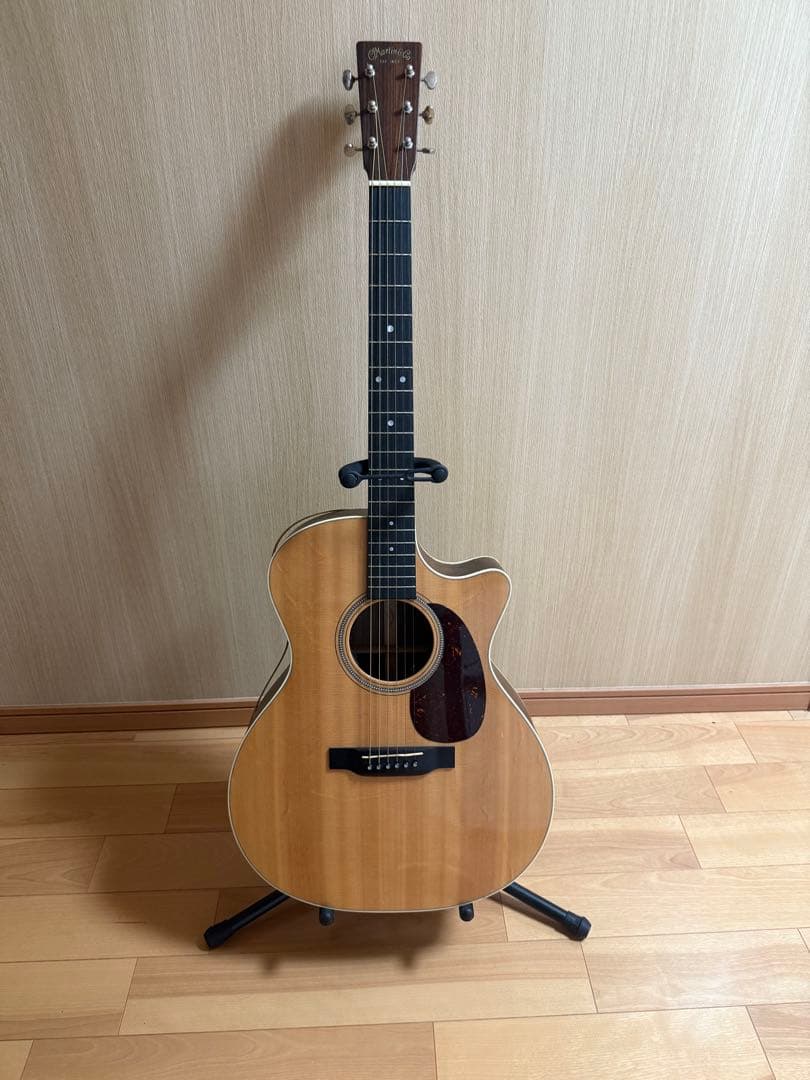 ギター Martin & co. GPC-16E-01