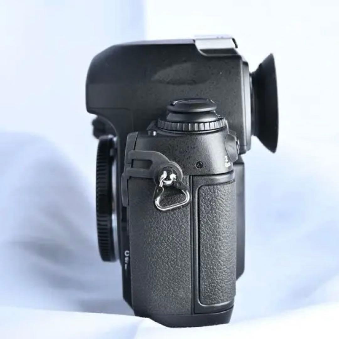 Nikon F6 スプリットスクリーン・展示台付きコレクション級　26000番台