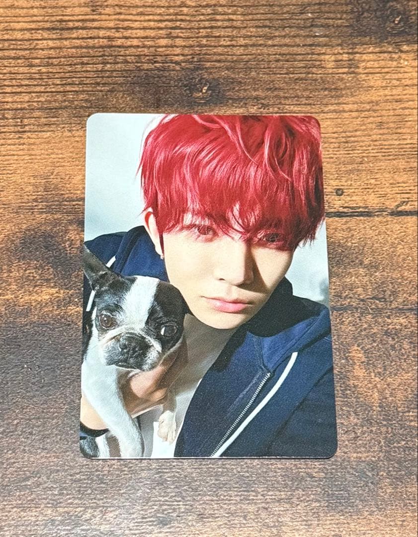 ENHYPEN 2025会報 アンケート 限定 トレカ ヒスン