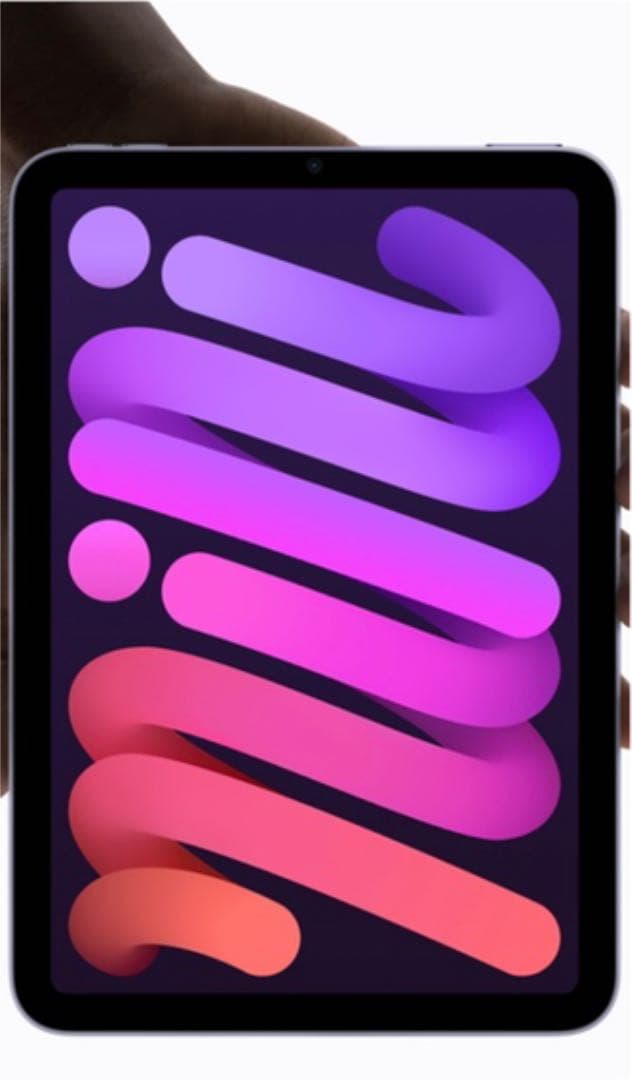 iPad本体 Apple iPad mini6