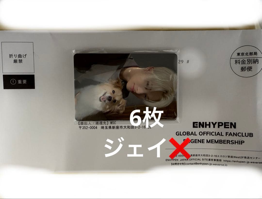 アンケートトレカ　特典カード　enhypen 6枚セット