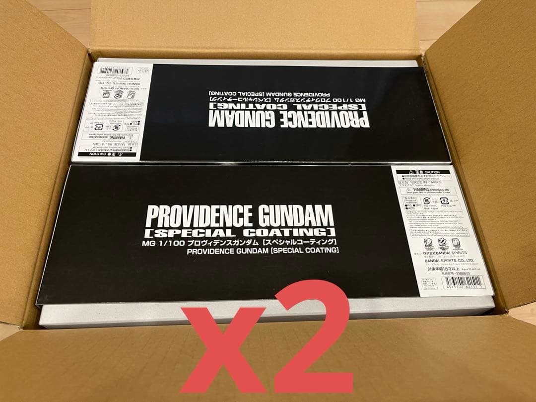 ＭＧ1/100 プロヴィデンスガンダム [スペシャルコーティング] 2個