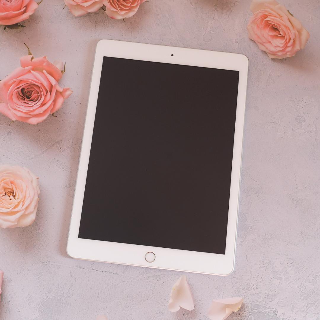 iPad 第5世代 32GB Wi-Fiモデル 画面きれい 未設定 動作確認済