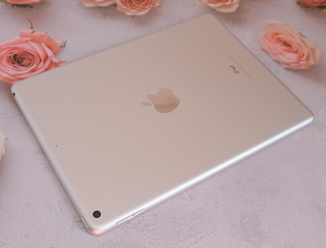 iPad 第5世代 32GB Wi-Fiモデル 画面きれい 未設定 動作確認済