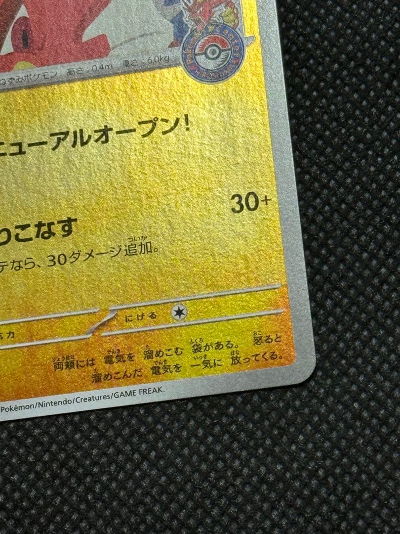 ヒロシマのピカチュウ