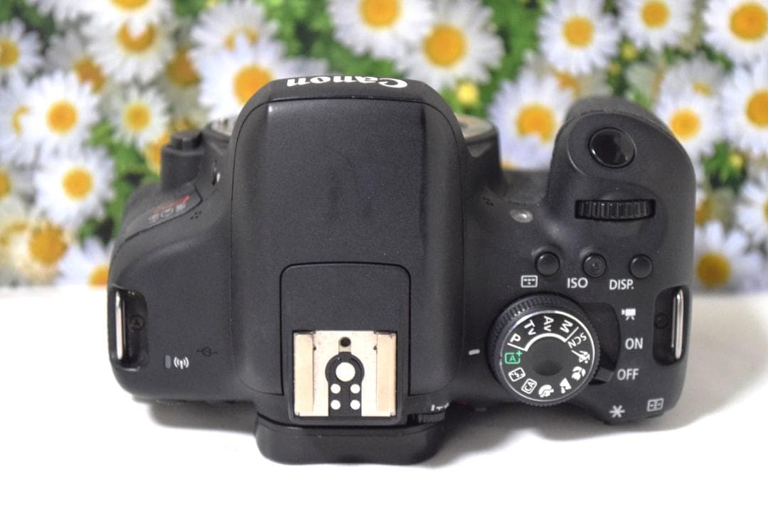 美品❤Canon EOS Kiss X8i❤Wi-Fi搭載❤キャノン❤超高性能