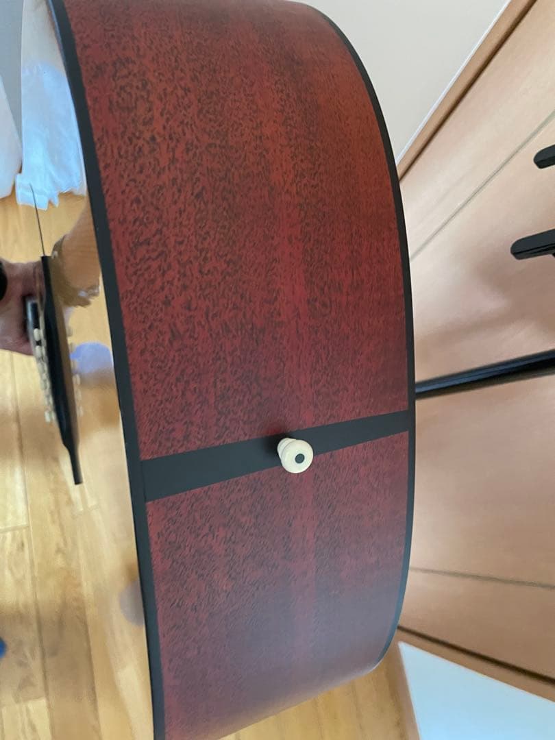 【説明・プロフ必読！】Martin & Co. D-16GT