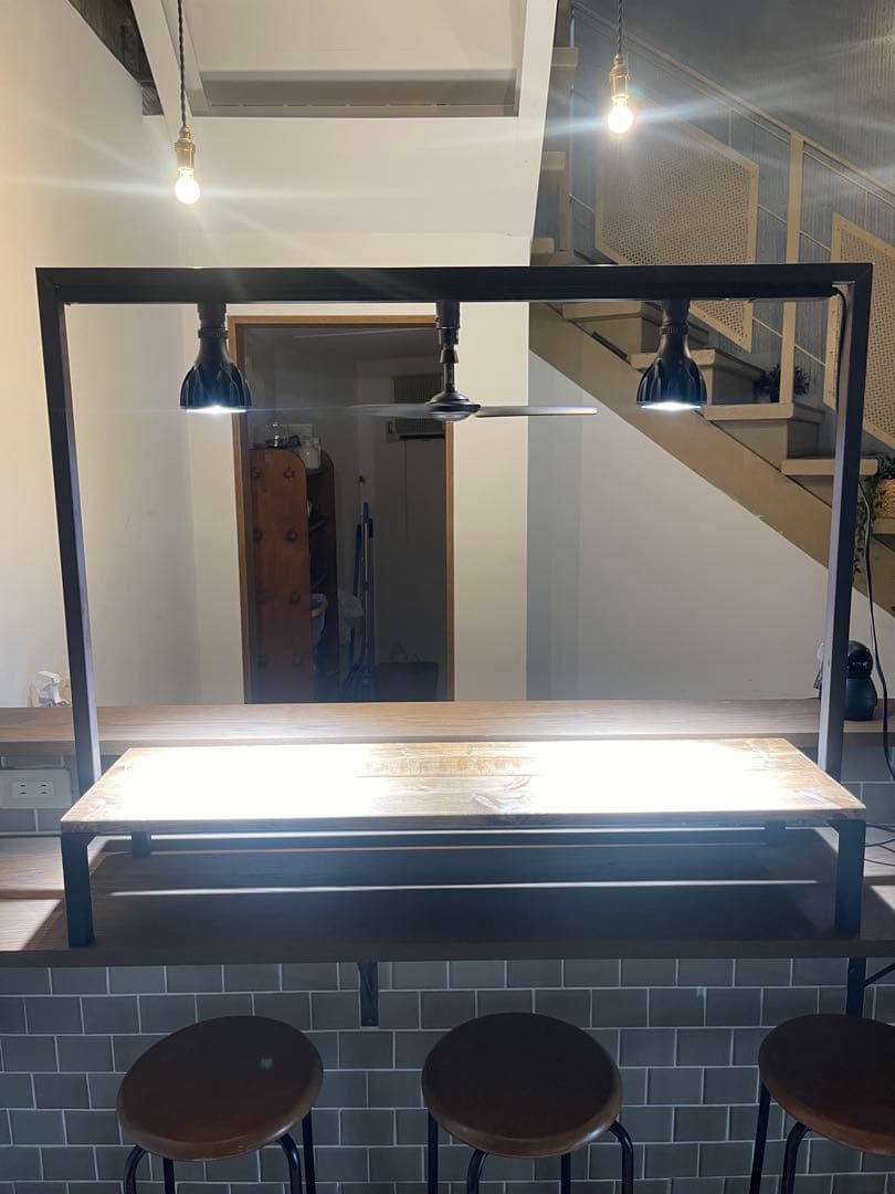 ダクトレール付！　植物棚　アイアンシェルフ　ボタニカルシェルフ　アガベ　塊根植物