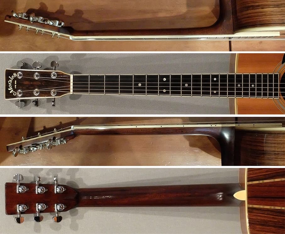 Morales LYRE BIRD M-50 セミハードケース付き