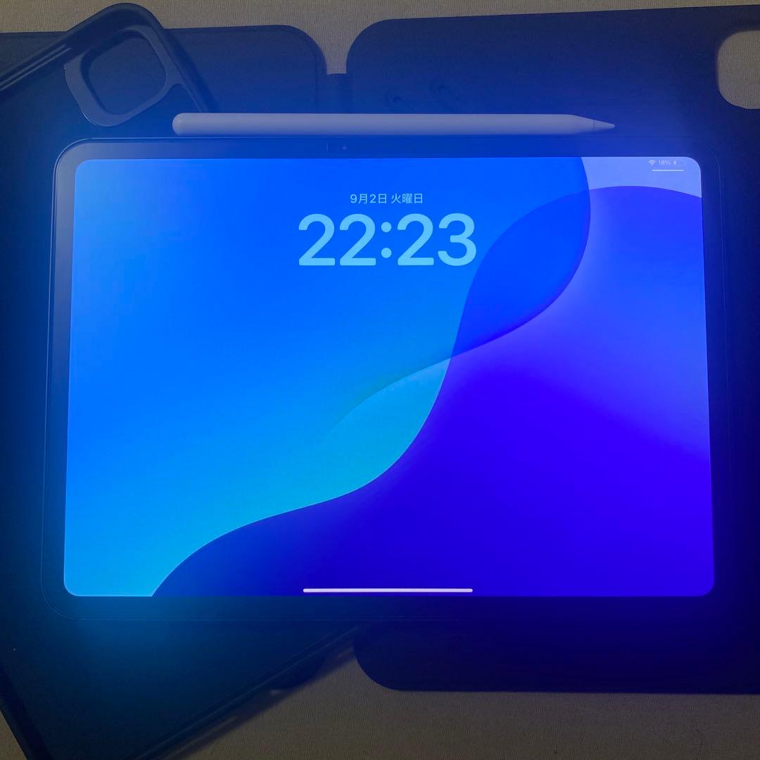 iPad pro M4 256GB WiFiモデル　おまけ付き