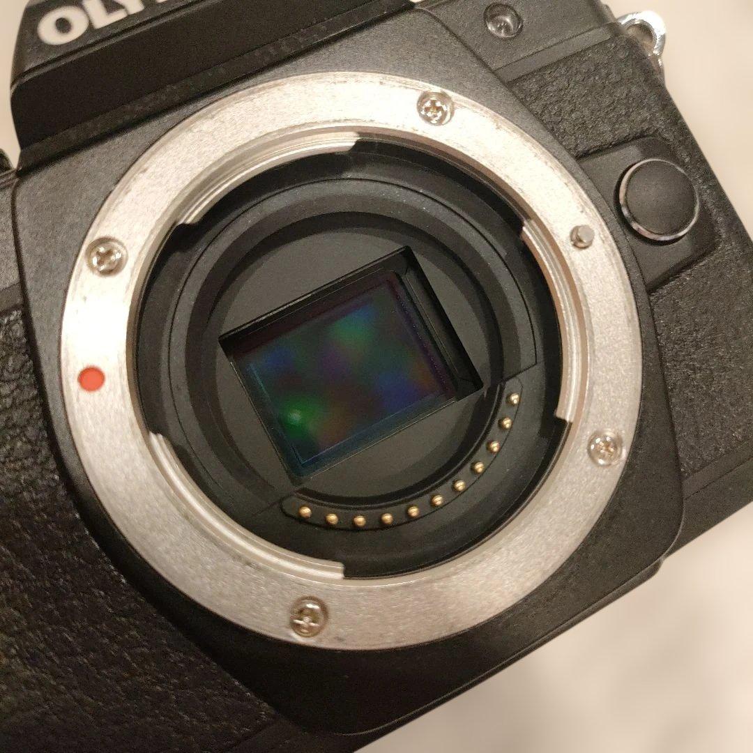 OLYMPUS OM-D E-M10 Mark II 14-42mm【美品】
