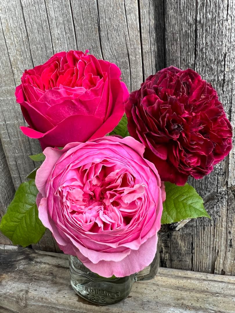 ❁ひろココ♡❁