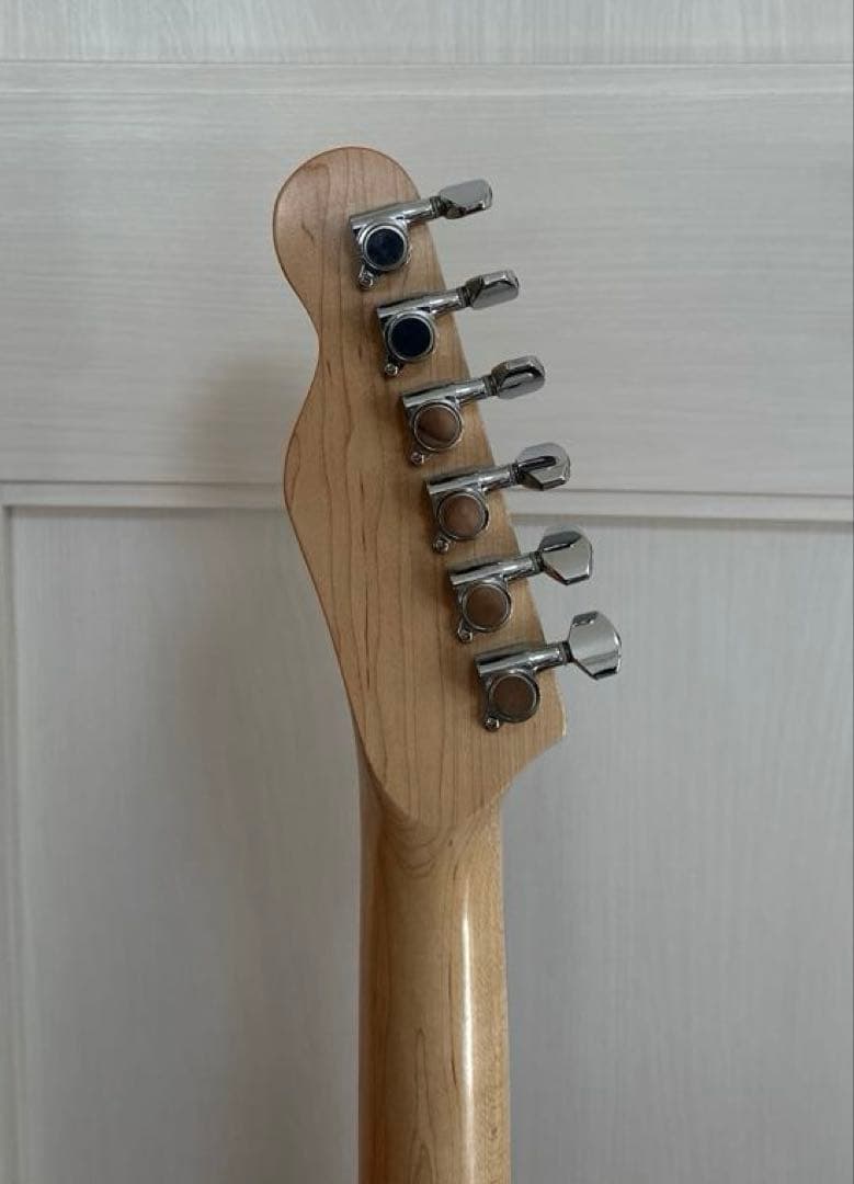 エレキギター (テレキャスタータイプ) 5way切替&2.5Kg &ソフトケース