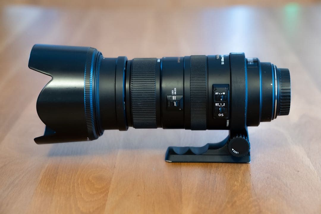 SIGMA DG 50-500mm 1:4.5-6.3 APO HSM キャノン