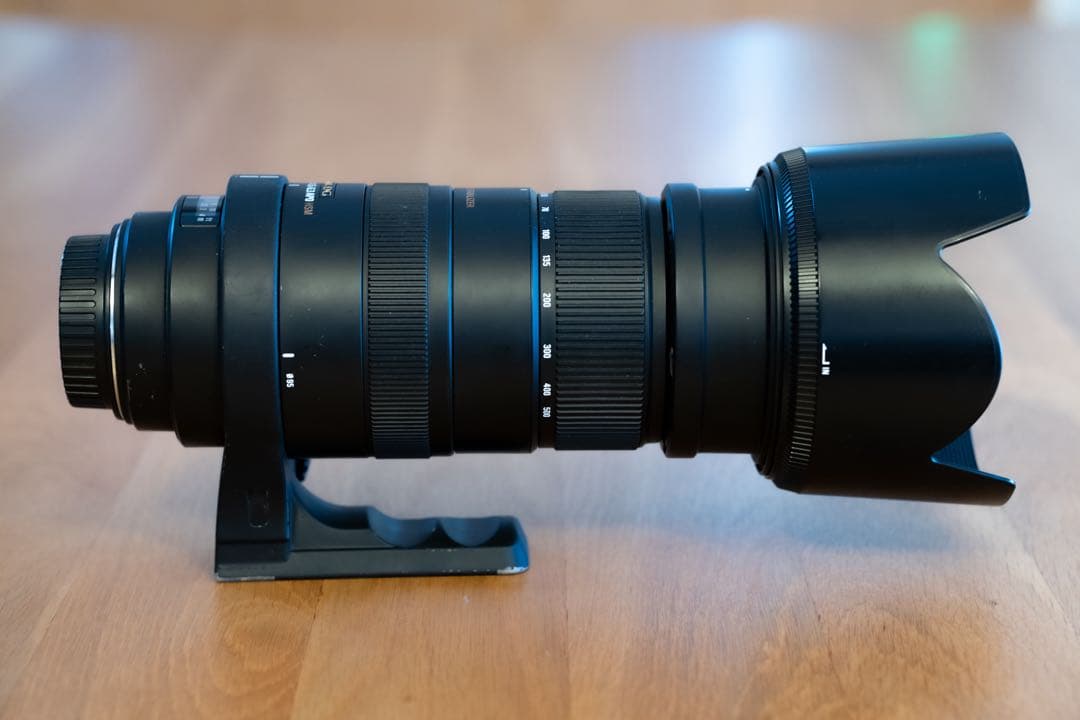SIGMA DG 50-500mm 1:4.5-6.3 APO HSM キャノン