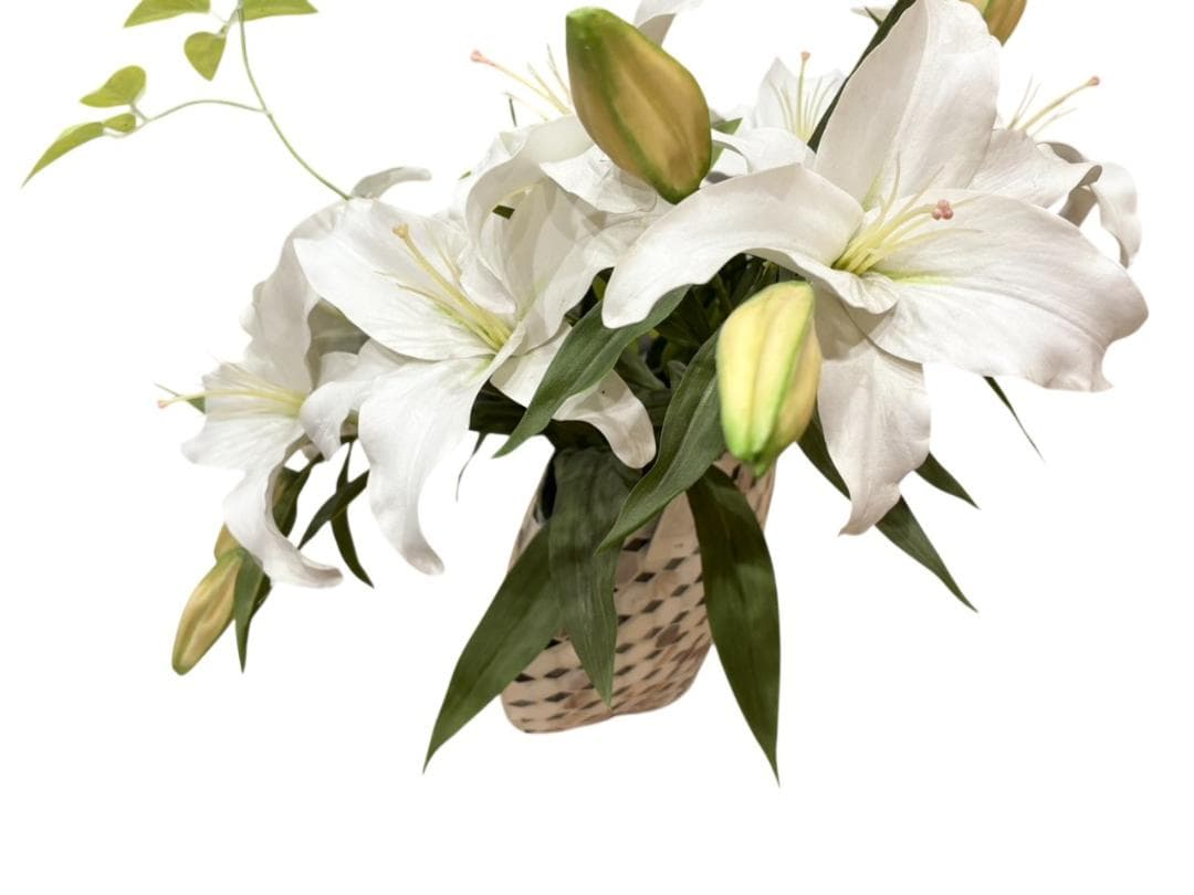 EMILIO ROBBA エミリオ・ロバ ユリ カサブランカ 大型 ギフト