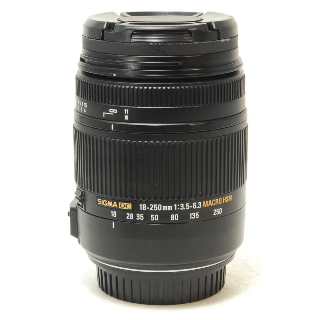 すずめ様_フォロー割❤️SIGMA 18-250mm DC HSM MACRO