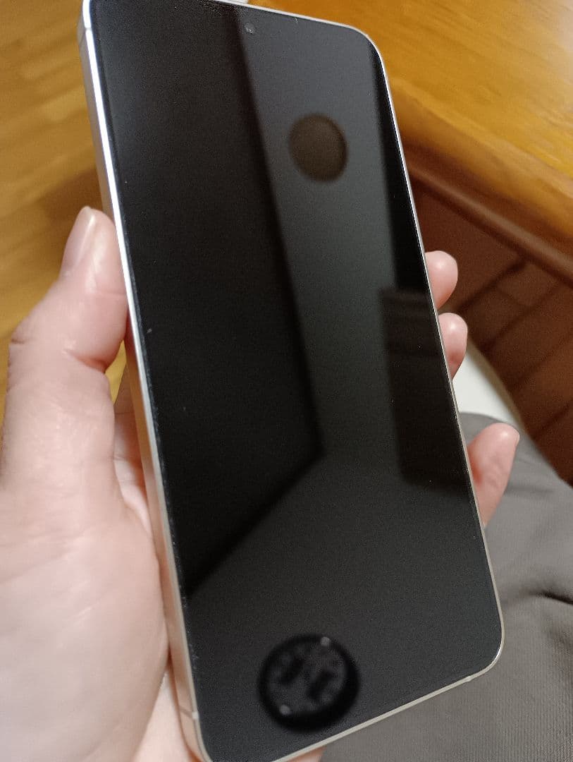 国内版／SIMフリー超美品　Galaxy S24　おまけ付き