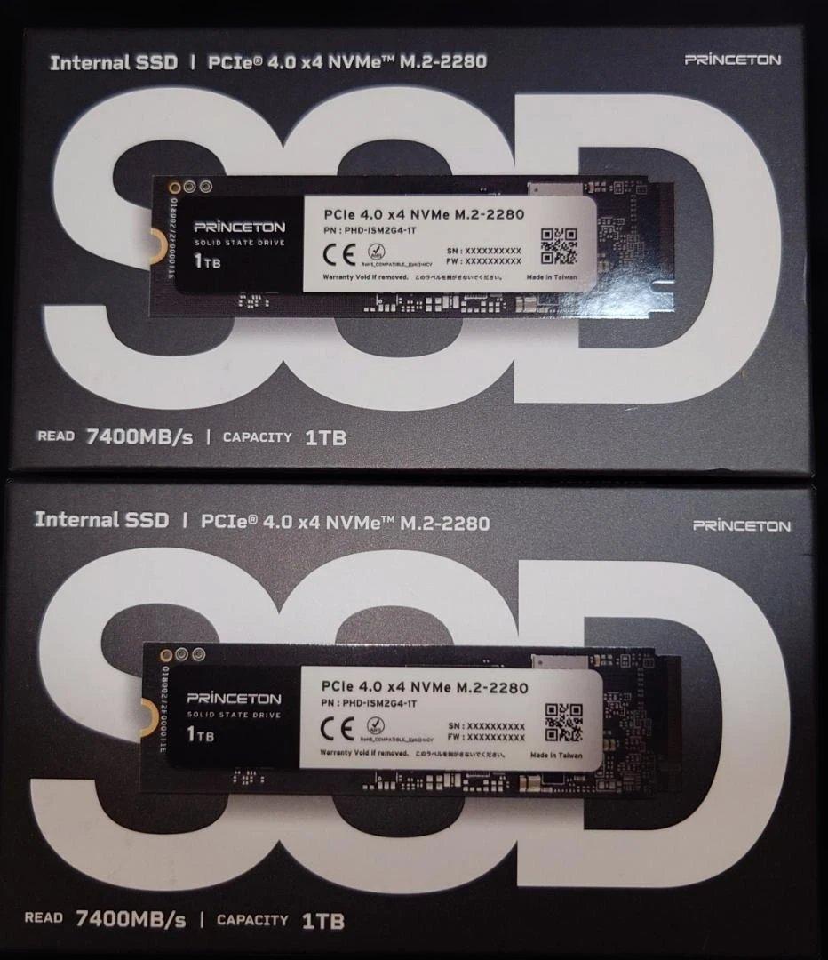 PRINCETON SSD M.2 1TB EPHD-ISM2G4-1T 2個