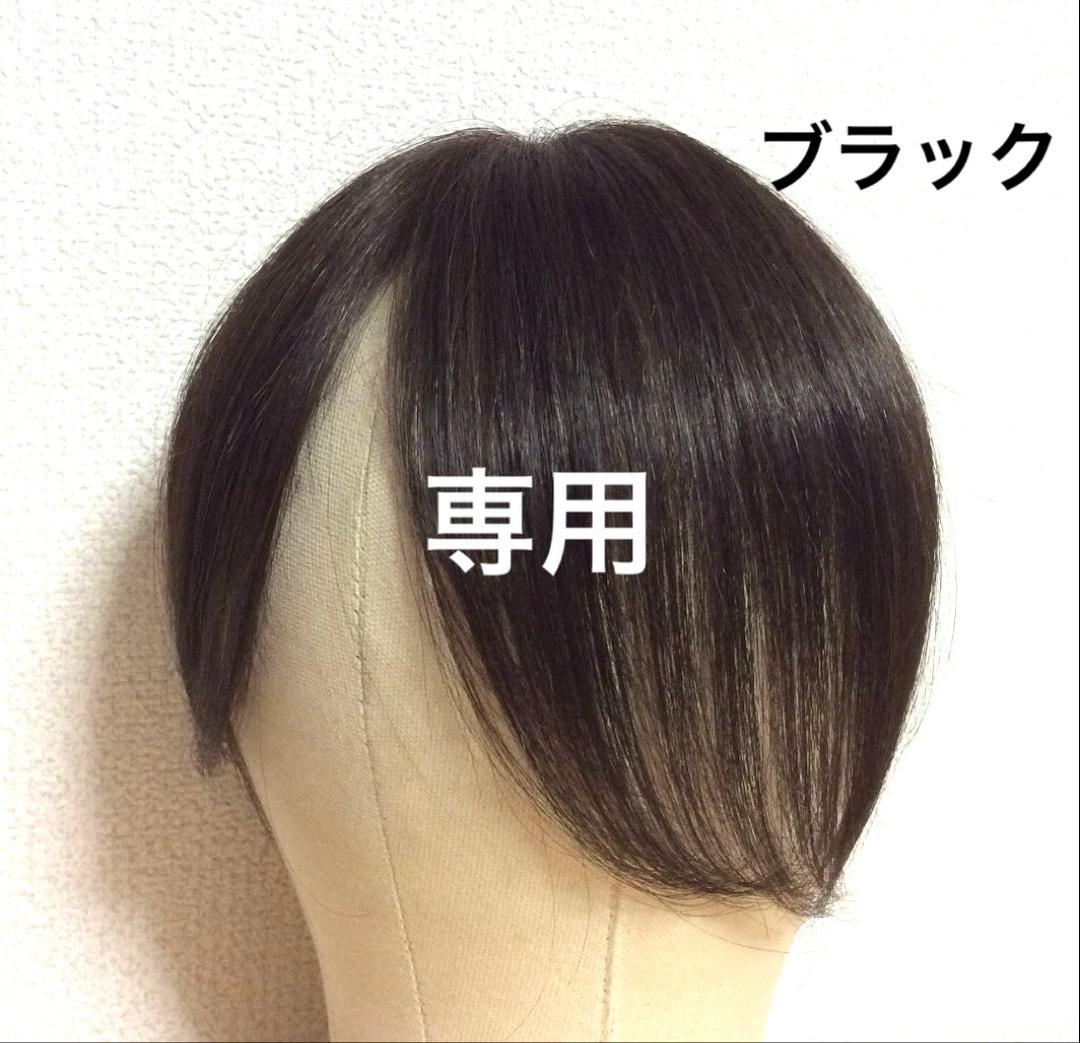 【たぬきケーキ】ショート/ブラック(=ナチュラルブラック)