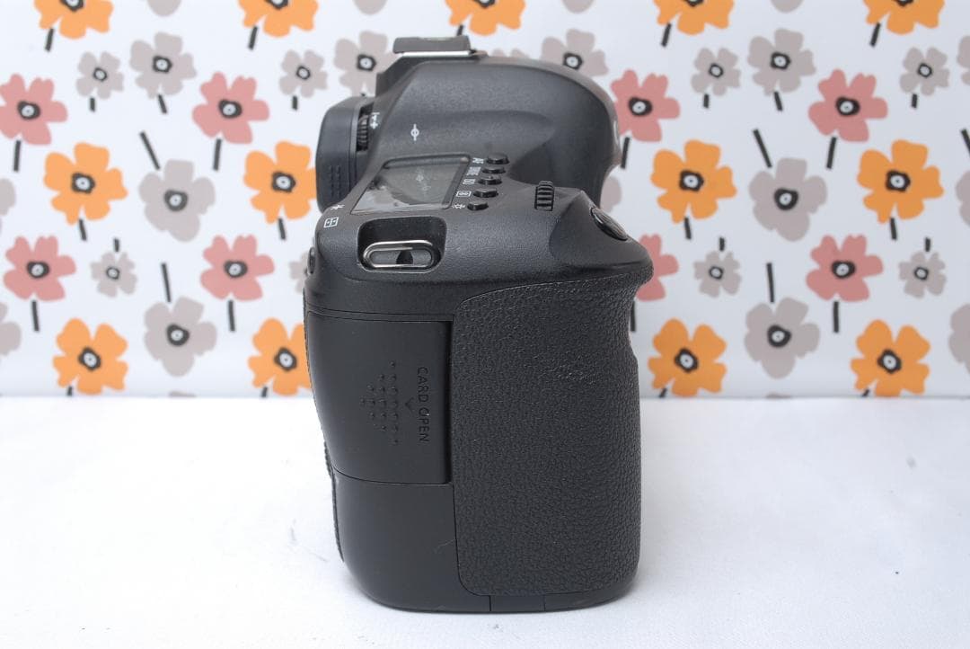 ❤Canon EOS 6D❤フルサイズ一眼❤超望遠レンズセット❤Wi-Fi搭載❤