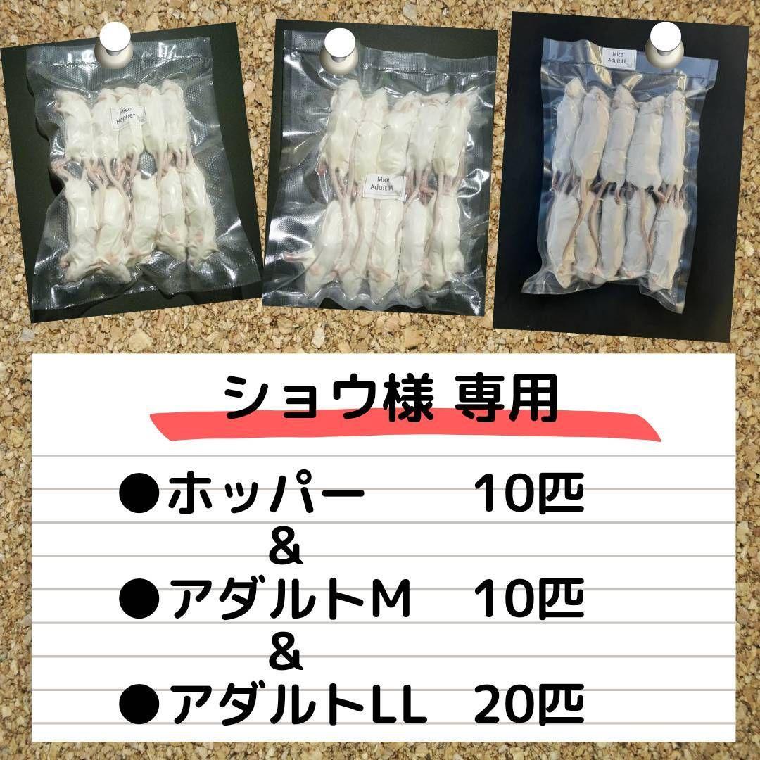 ショウ国産冷凍マウス ホッパー 10匹アダルトM10匹アダルトLL20匹