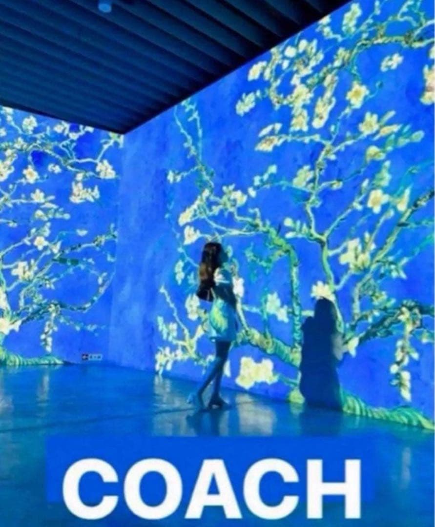 新品未使用コーチCOACHクロコ型押しレザー長財布ブラックラウンドファスナー