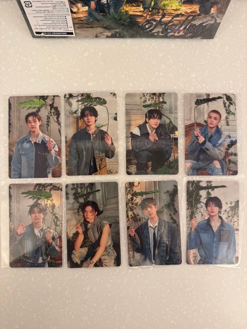 スキズ Straykids Hollow 初回限定生産版A トレカ 8種 コンプ