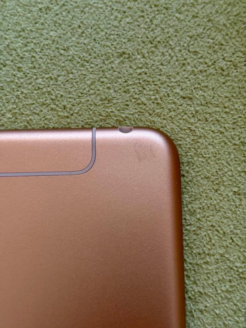 iPad mini 5 64GB Cellular ローズゴールド&ペンシル