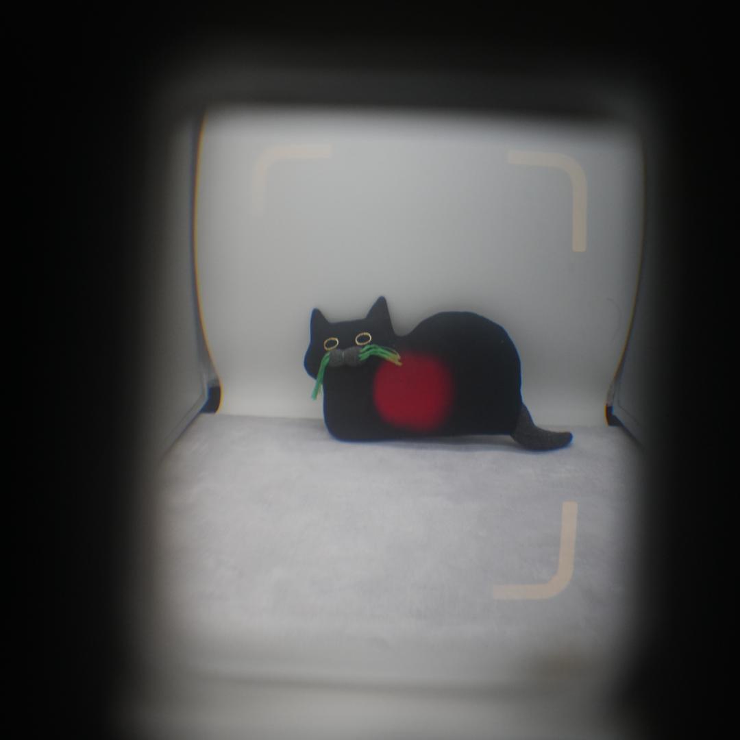 RICOH AUTO HALF SE シルバー【整備済完動品】