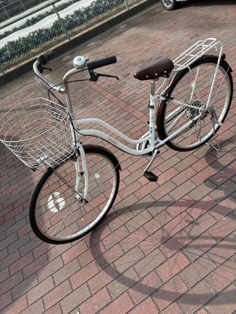 Yukihiro Yachobuzさん専用 オートライト・パパチャリ(27㌅)