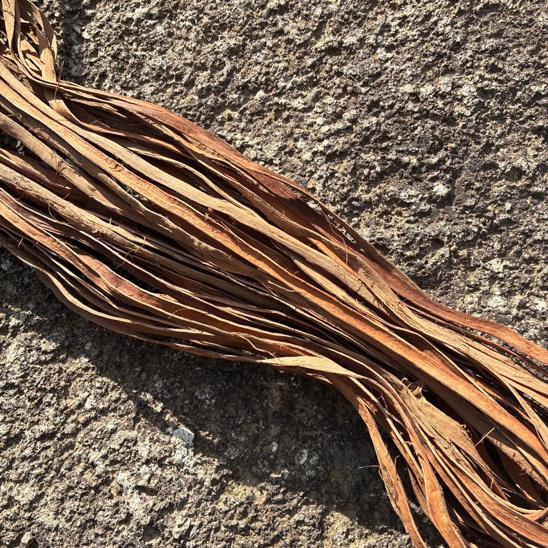 国産山葡萄8ミリヒゴ25m