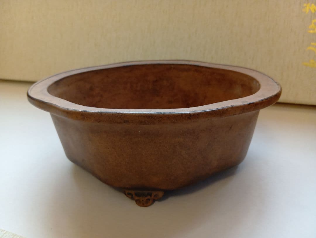 盆栽鉢（横木瓜）