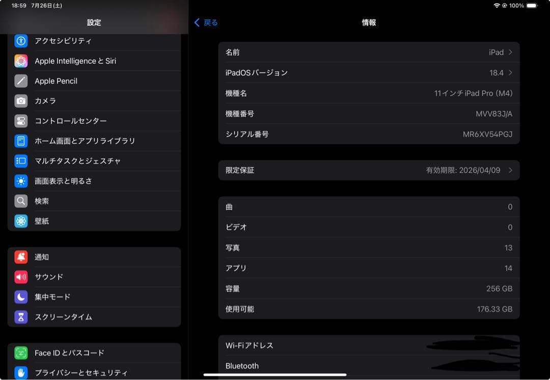 【美品】iPad Pro 11インチ M4(第5世代）256GB wifiモデル