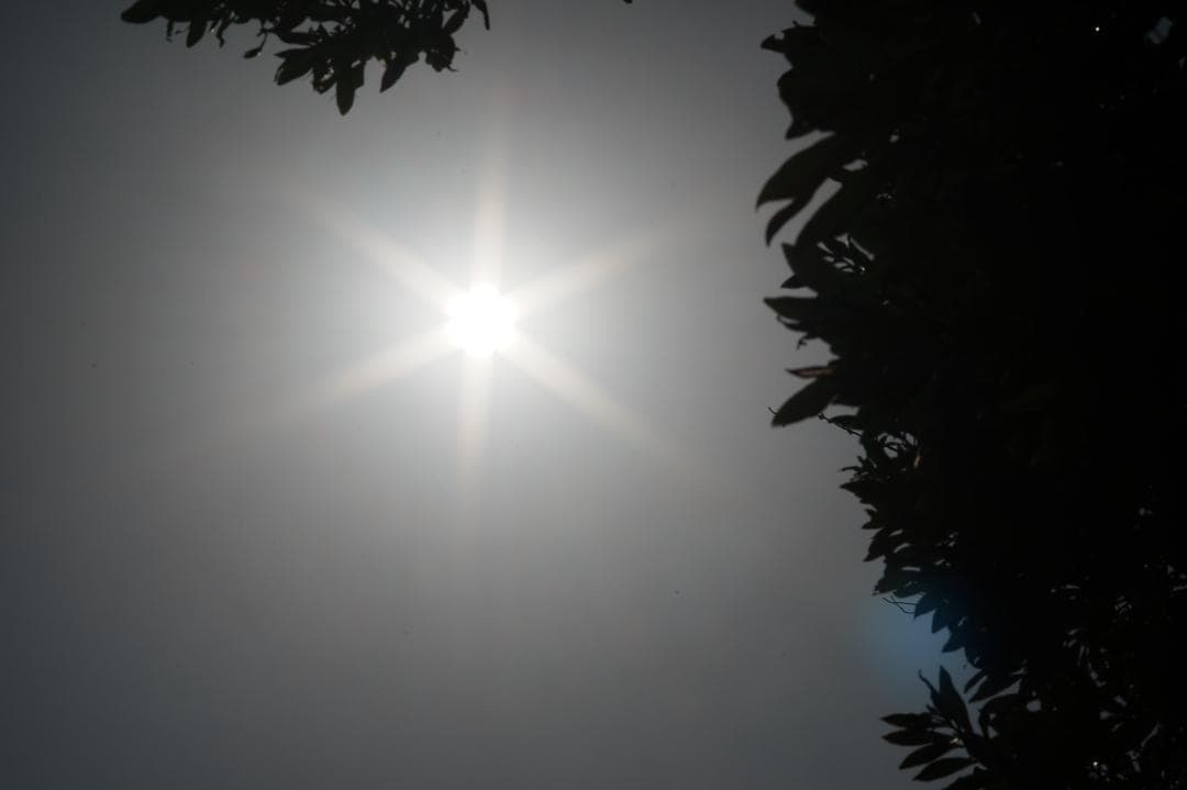 【整備＆テスト済】SMC PENTAX 105mm F2.8 095