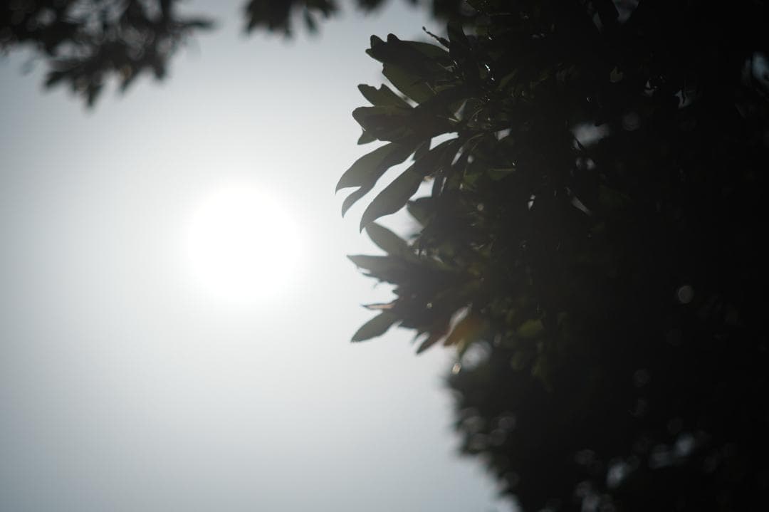 【整備＆テスト済】SMC PENTAX 105mm F2.8 095