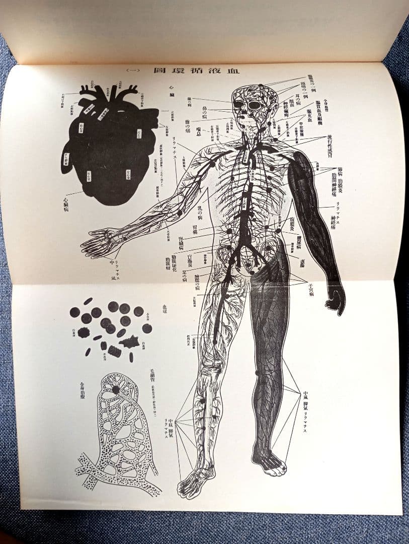 【希少】血液循環療法講習録