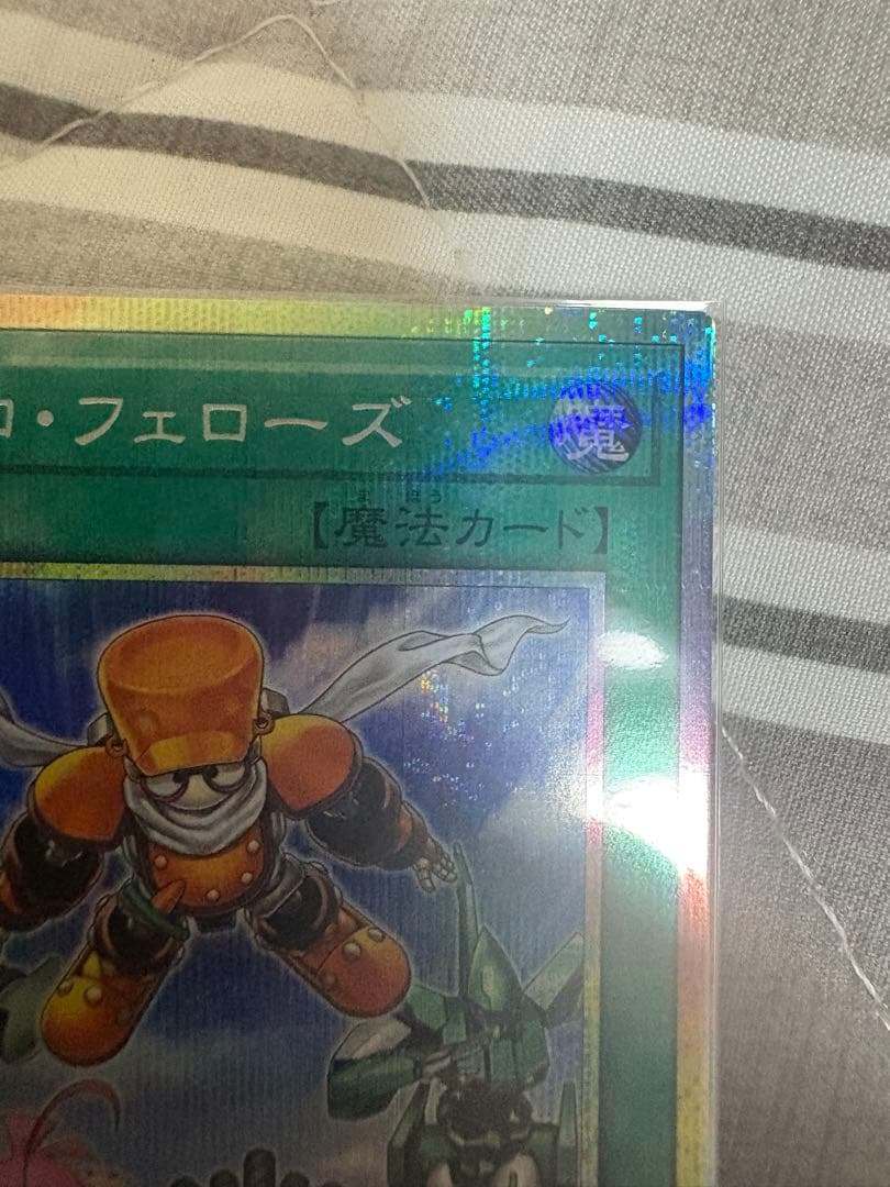 シンクロフェローズ　プリシク