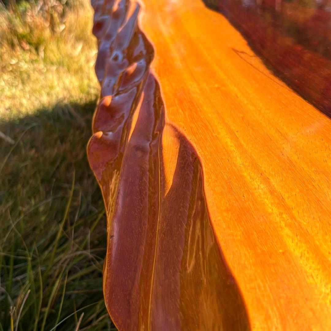 希少 紫紫檀 （アフリカンパドゥーク）座卓 和室 テーブル