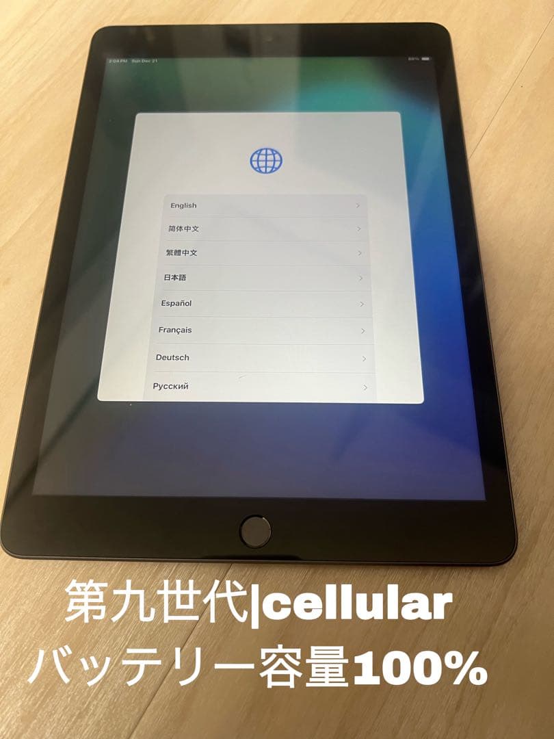 ［ルナカリ]iPad 第九世代 cellular 64gb simフリー