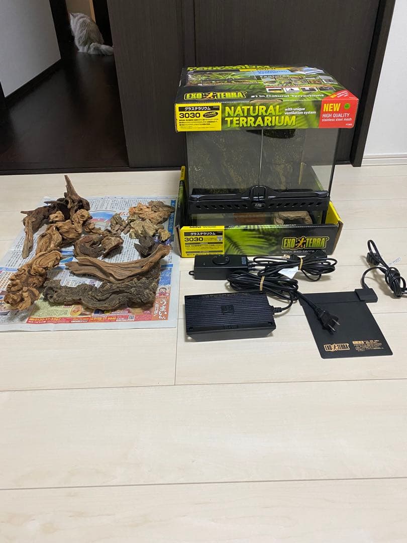 グラステラリウム3030 レイアウト セット